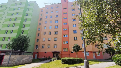 Pronájem bytu 3+1 o výměře 67 m2 v ul. N. Frýda v Českých Budějovicích